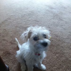 Meet your Posher, Christine